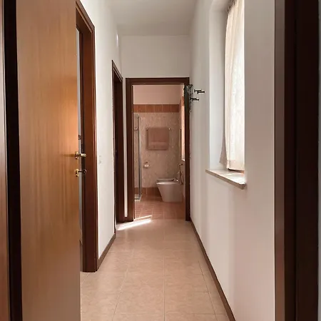Bee In Apartament *